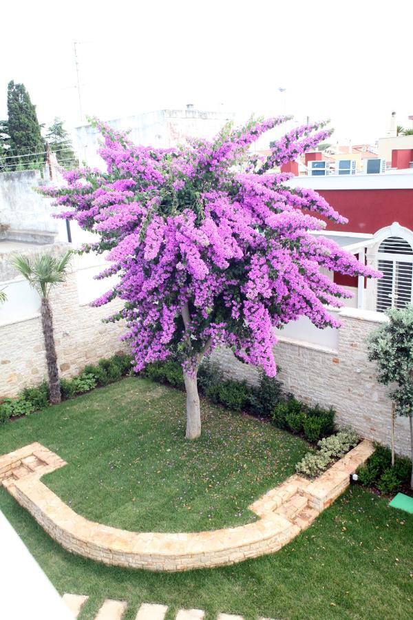 Villa Pina Bari Dış mekan fotoğraf